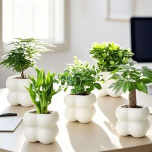 Indoor plat with vask